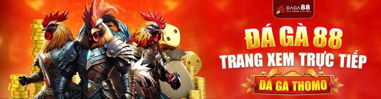 Sân đấu đá gà trực tuyến sôi động tại jun888 info